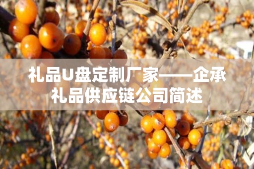 礼品U盘定制厂家——企承礼品供应链公司简述